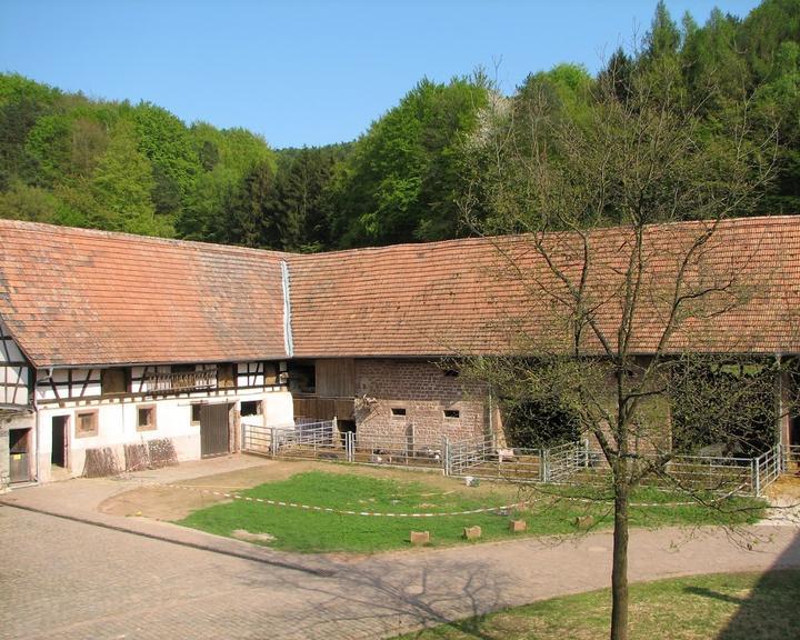 Bio-Gasthof Bärenbrunnerhof